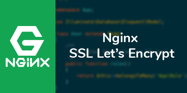 Nginx SSL Sertifikası Kurulumu