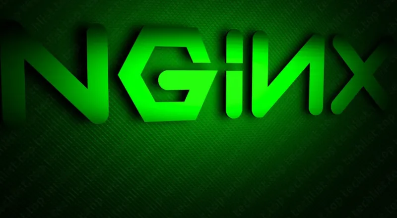 Nginx Zero Downtime Reload
